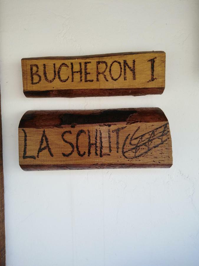 Le Gite Du Bucheron Dabo Exteriér fotografie